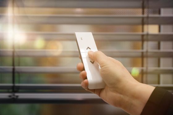 La finestra dell'ufficio di doppio strato della zebra copre senza cordone cieco con il motore astuto