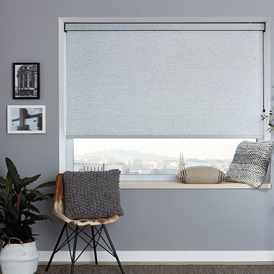 Il tessuto manuale Grey Day And Night Roller acceca per la protezione di segretezza dell'interno