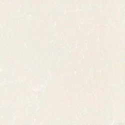 Ciechi di finestra di lusso moderni del rullo decorativi per il ODM dell'OEM domestico del salone