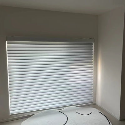 Tenda cieca Gray Colored For Living Room bianco della zebra del rullo