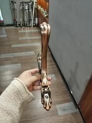 sostegno della parete di 28mm doppio della tenda di rame anti- resistente 19mm del supporto