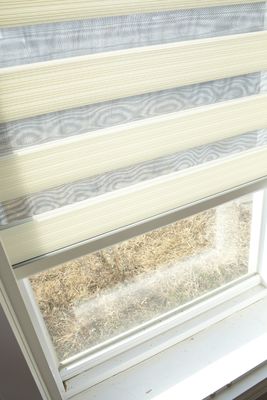 La finestra decorativa dell'ufficio del rullo copre il ODM di stile della zebra di doppio strato delle tende