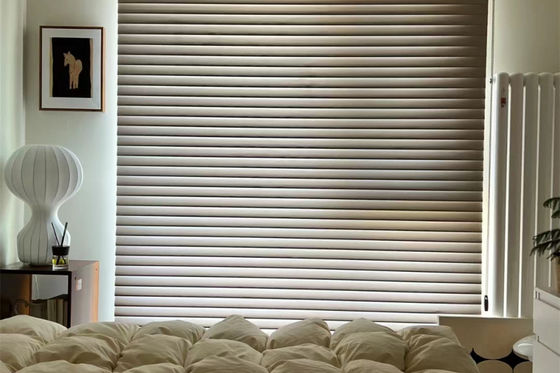 Ciechi elettrici di blackout della La di Shangri, tonalità motorizzate del rullo per la finestra