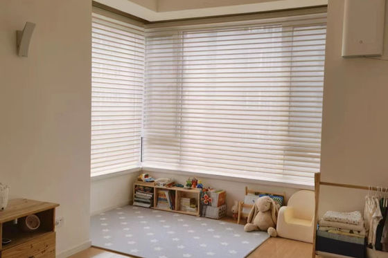 Due strati del filato di Shangri della La di stile elegante trasparente delle tende per la camera da letto