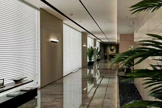 Il motore di Tuya acceca la piegatura telecomandata dell'ondulazione della La di Shangri per il salone