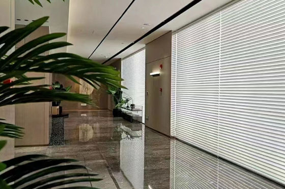 Ciechi eleganti romantici della La di Shangri, tende di finestra respirabili della camera da letto