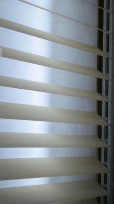 Tenda verticale di sogno resistente dell'olio UV impermeabile cieco della muffa dei semi della schiuma del PVC