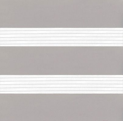 Perle minimalisti di tirata del rullo della zebra della tenda di studio dei semi del manuale traslucido cieco cieco impermeabile del parasole