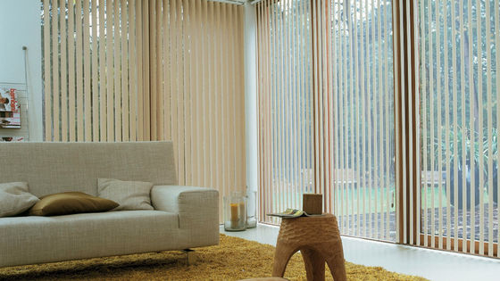 Blackout delle tende della decorazione mezzo di finestra del balcone elettrico intelligente verticale nordico dei ciechi