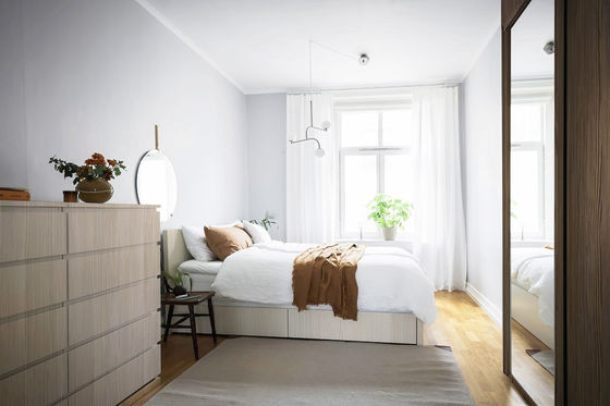 Il serpente bianco ha modellato Gauze Curtains Transparent And Shading che i balconi abbaiano Windows